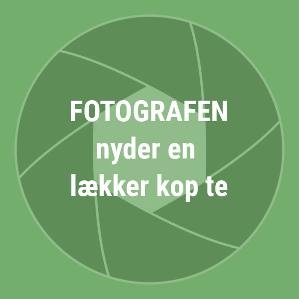 Stikkelsbær - hyldeblomst te - 100g